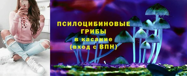 прущая мука Мегион