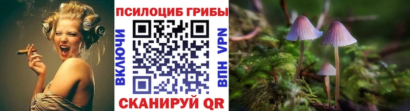 цена   Уссурийск  mega рабочий сайт  Псилоцибиновые грибы Psilocybe 