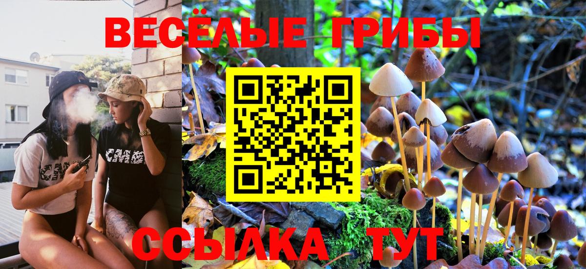 Псилоцибиновые грибы Cubensis  Галлюциногенные грибы MAGIC MUSHROOMS  Вход с VPN  Уссурийск 