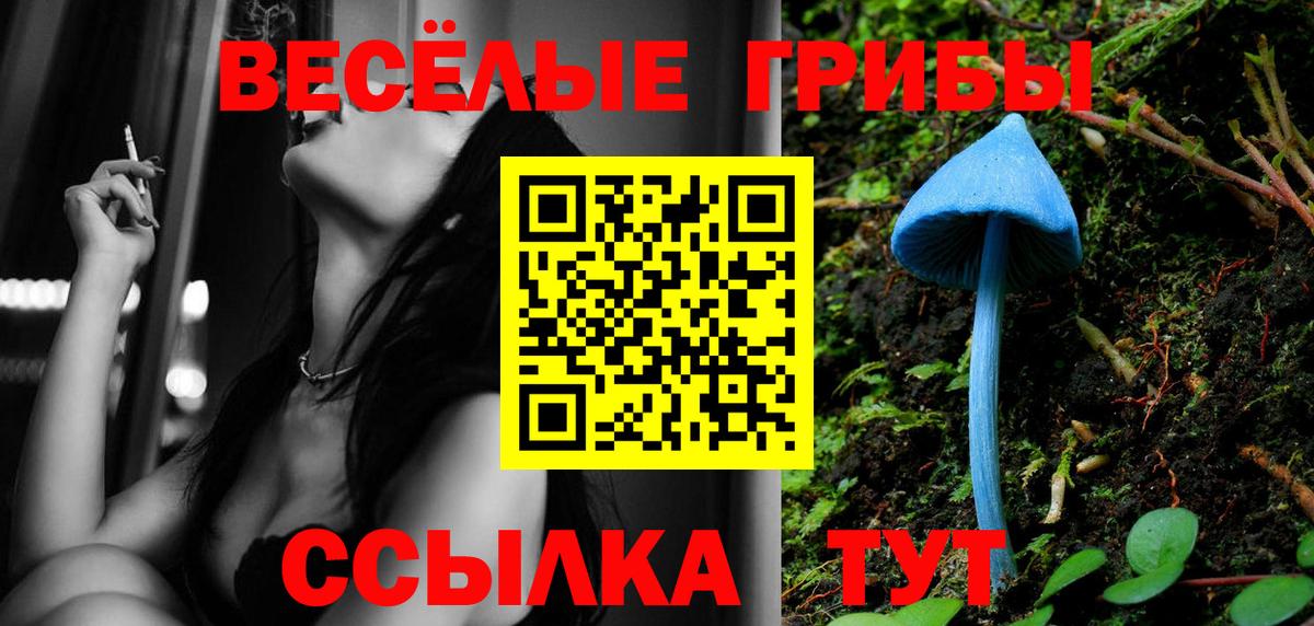 Псилоцибиновые грибы Psilocybine cubensis Уссурийск