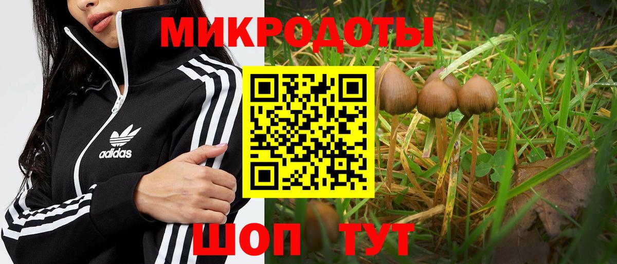 Псилоцибиновые грибы GOLDEN TEACHER  закладка  Уссурийск 